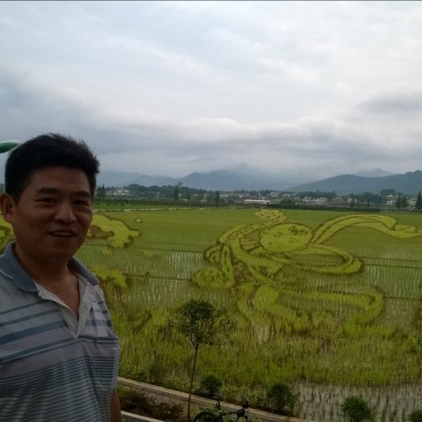 729642 潇洒