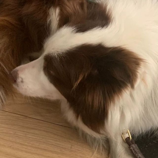 729785 言之有理