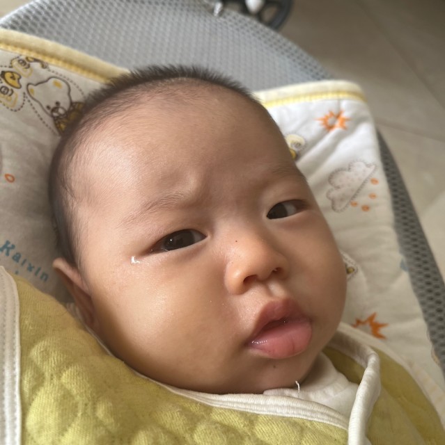 729862 蜗牛