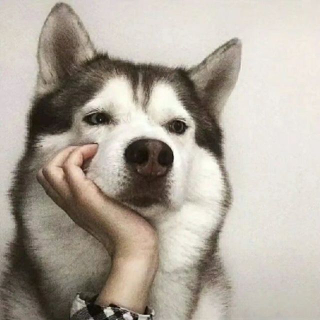 730657 微醉