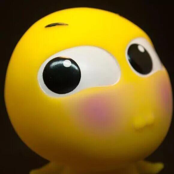 731202 虫虫