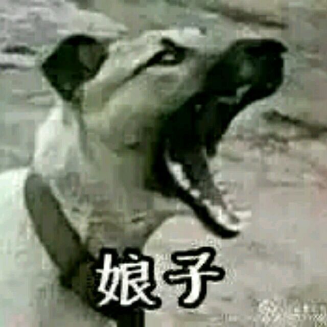 731668 向钱看