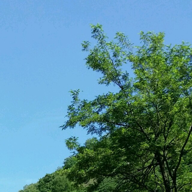 731787 -暖羊羊