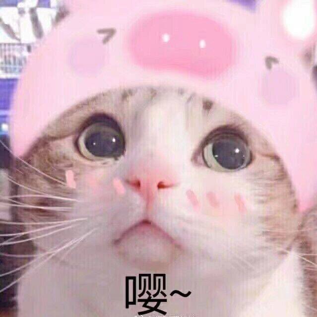 731944 不得姐视频