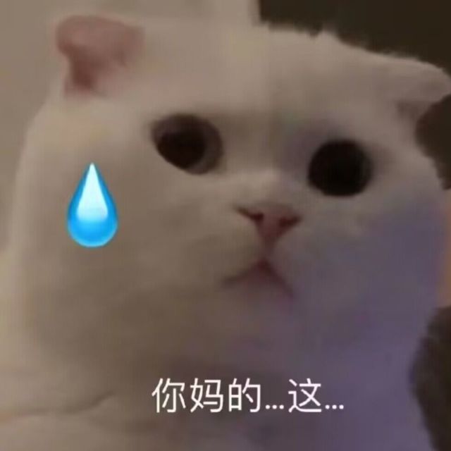 731954 かすがの そら