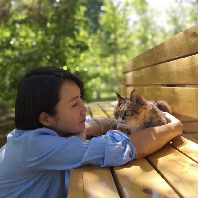 732124 狐狸