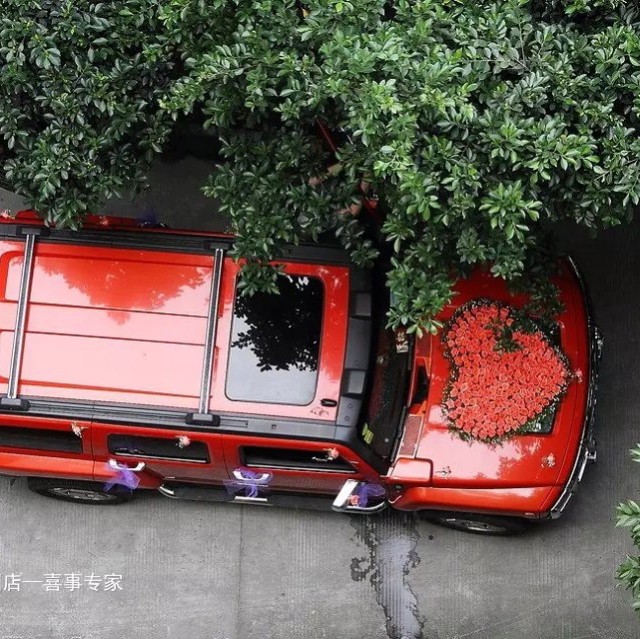 732177 喜事专家