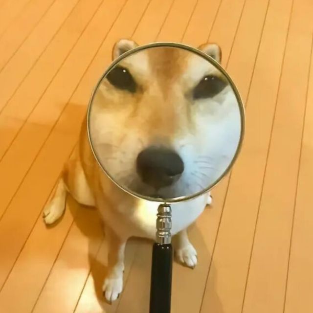 732677 732677