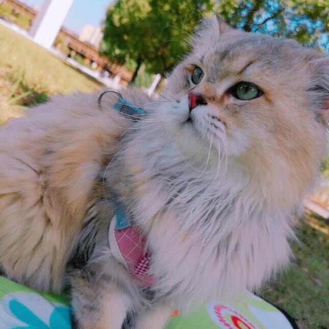 732857 ◆﹏戰ˇ