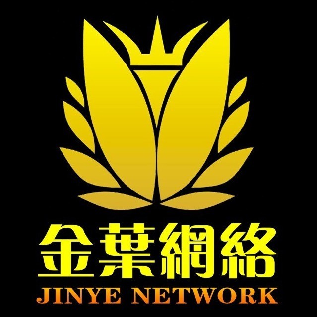 733137 金叶网络™