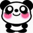733337 郑渕咲