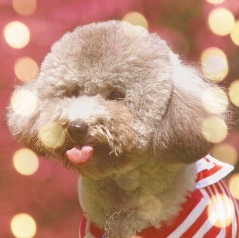 733800 sandy_z