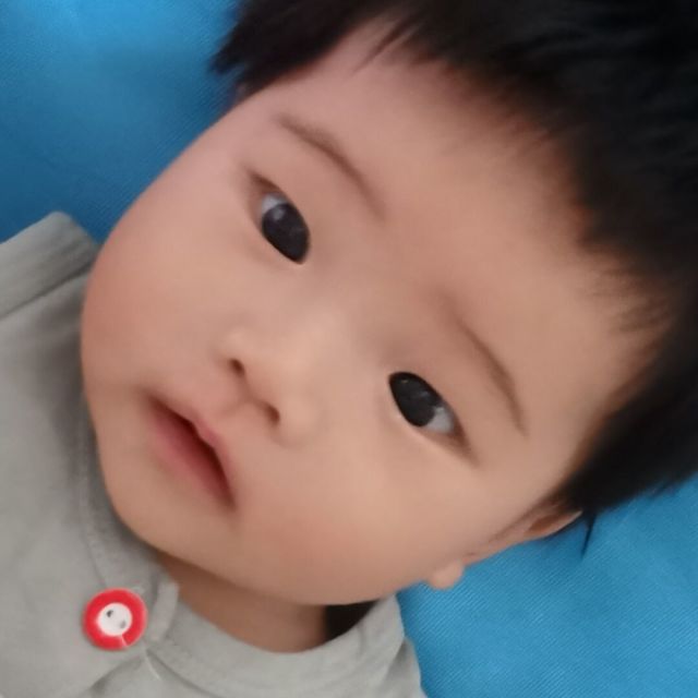 733968 夜行