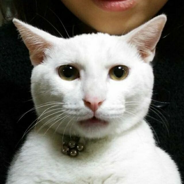 734425  晚安°