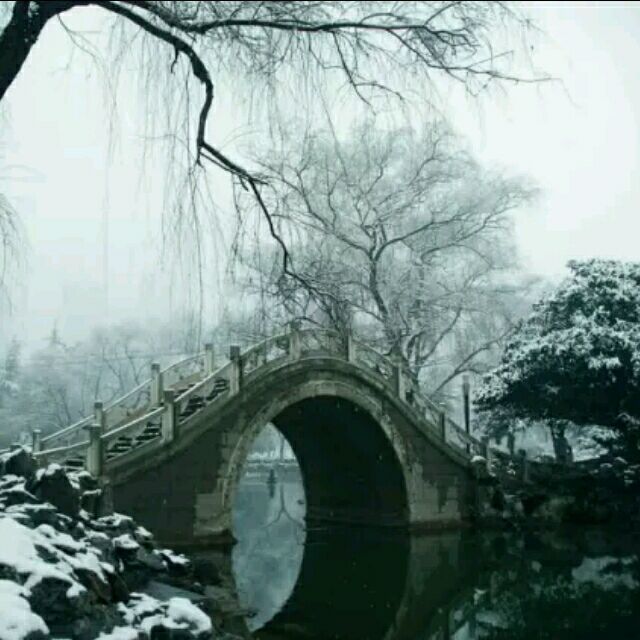 73444 心羽*