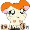 735167 咖啡人生: