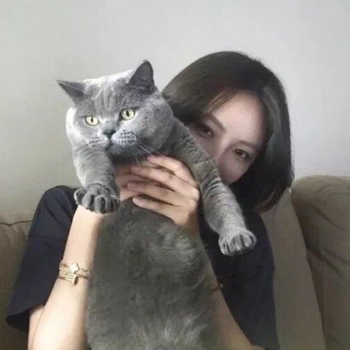 735401 豆儿