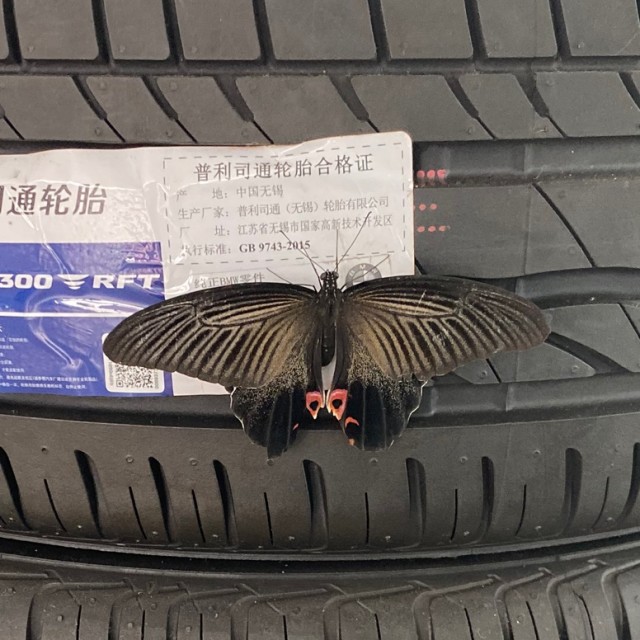 735411 上线一分钟
