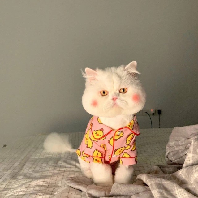 735538 未净之恋。