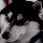 735781 て龍爺﹏丶