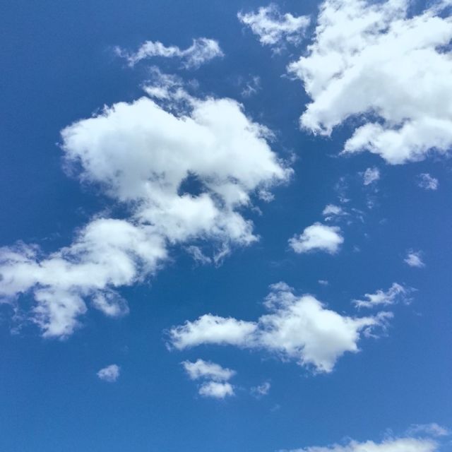 735903 古月