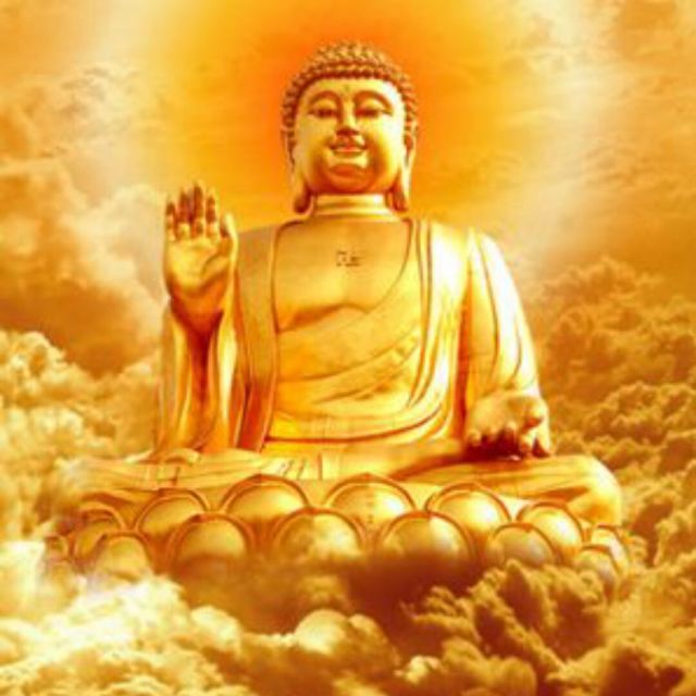 736281 岁月留痕