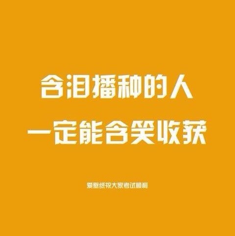 736552 路过