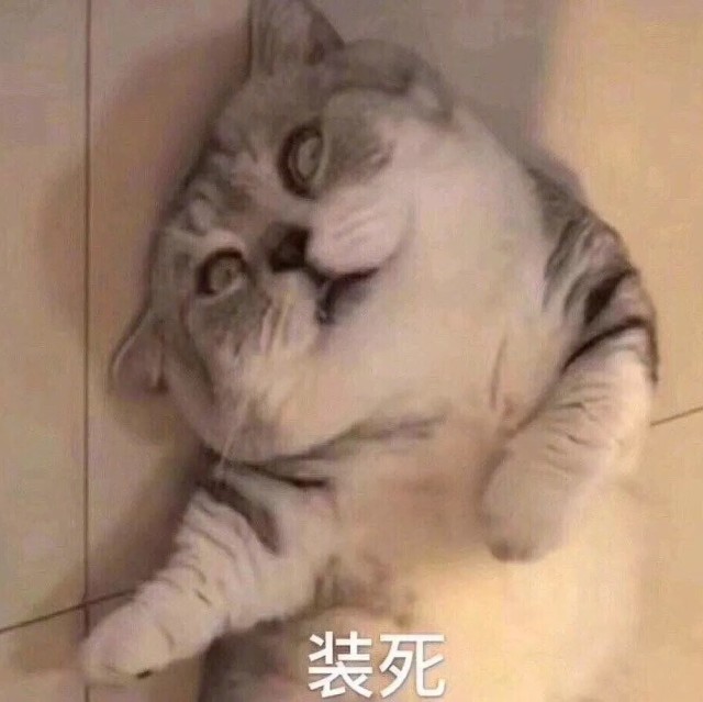 73679 洁癖