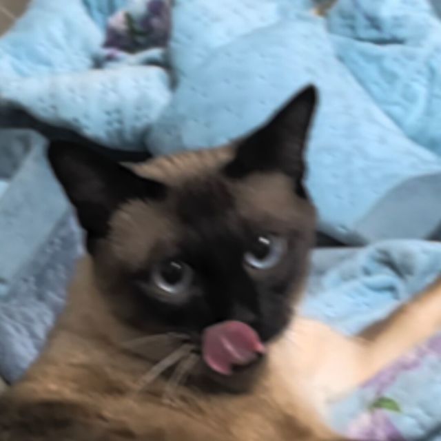 73694 73694