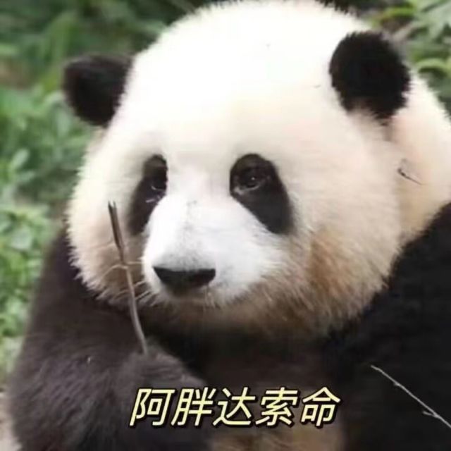 737473 木阿。