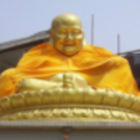 738215 赢信酒业