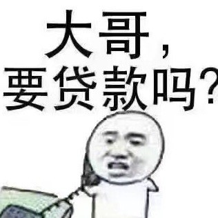 738409 简单小额贷（大额）