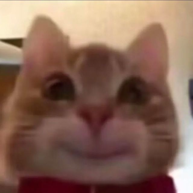 738478 疯狂鱼