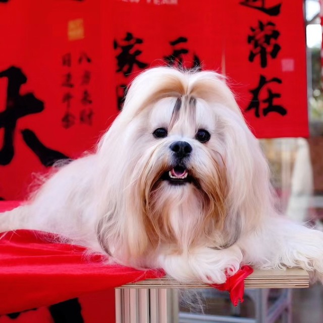 738480 少雄哥哥