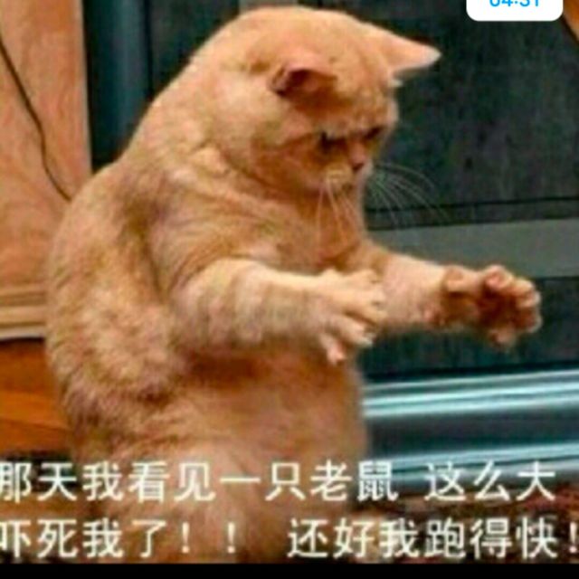 738613 瀧
