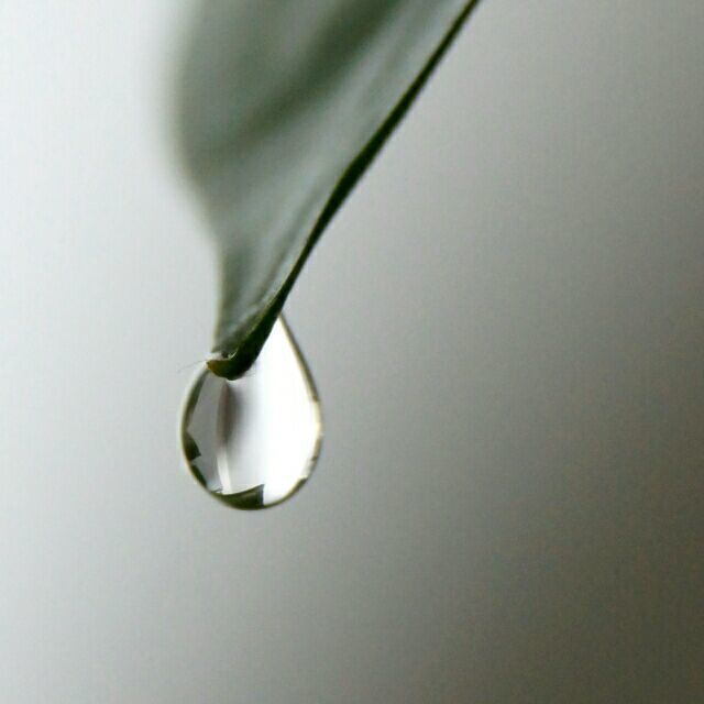 739033 ●‖封尘ゞ