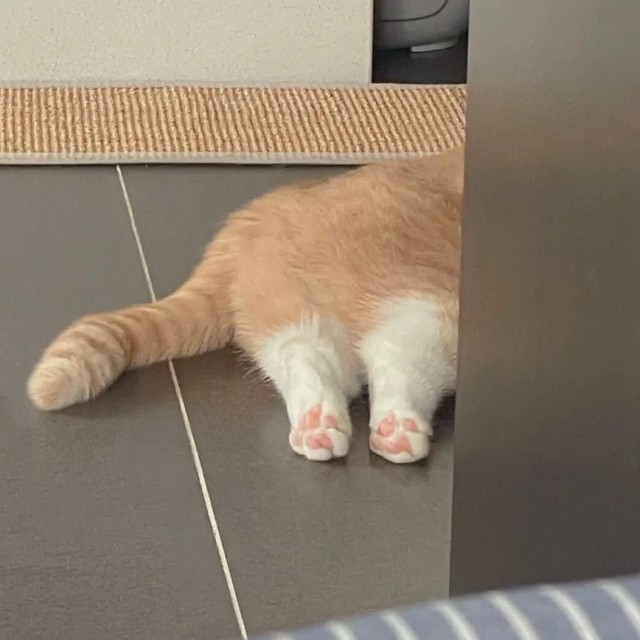 739219 瓶哥