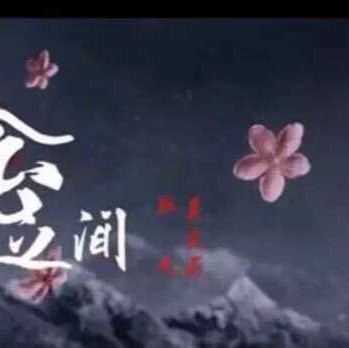 739385 一叶菩提