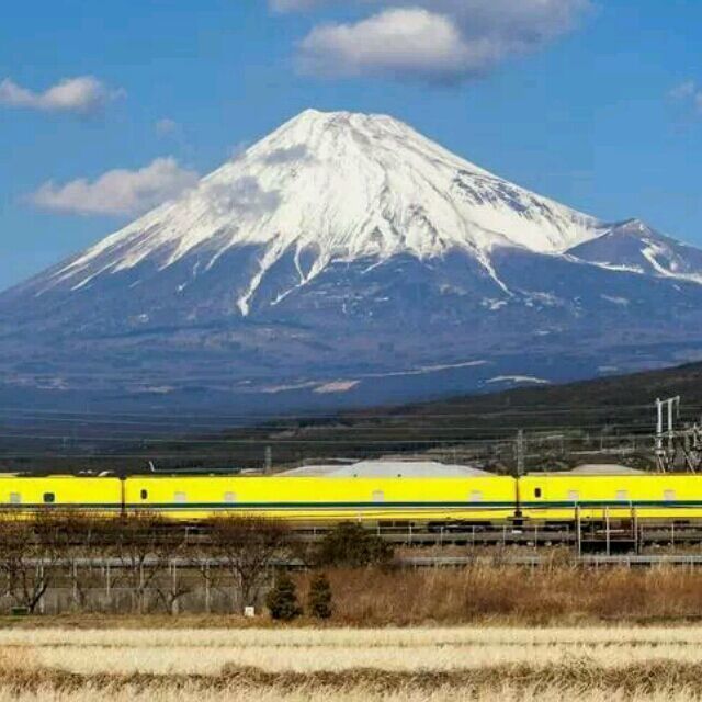 740335 也曾走过