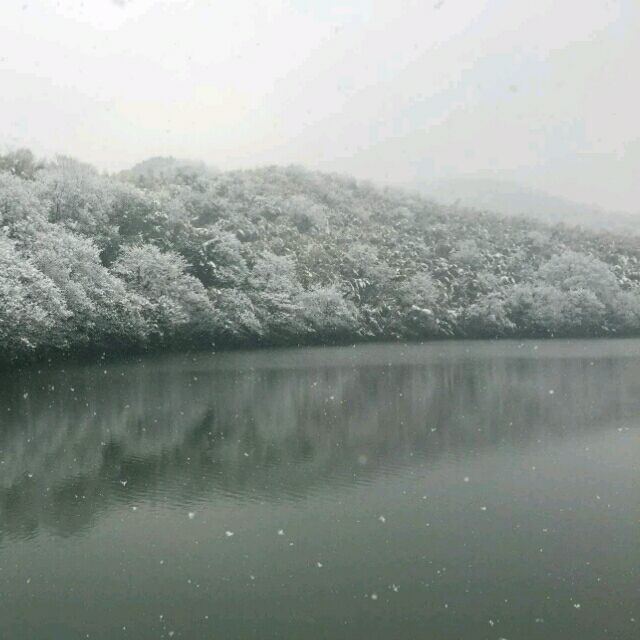 740460 x*淼