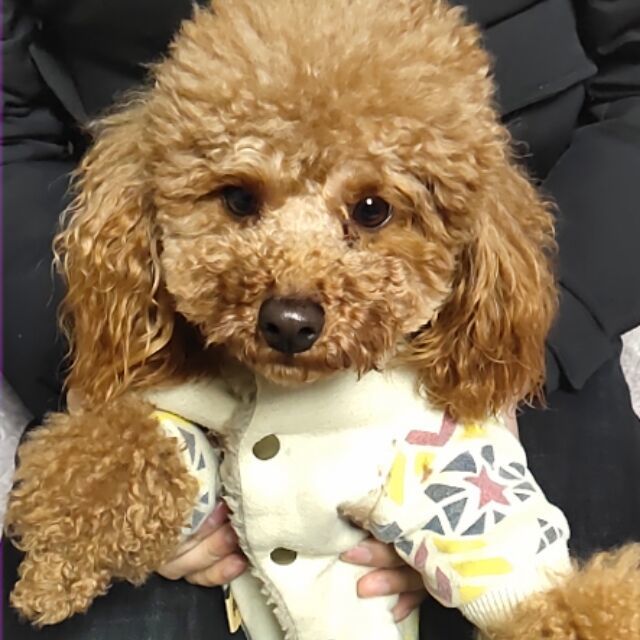 740732 下一站幸福