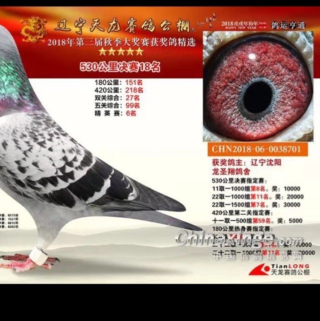 741048 巧克力