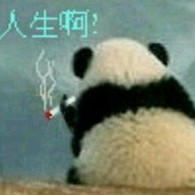 741461  冰