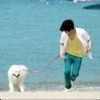 741734 上善若水
