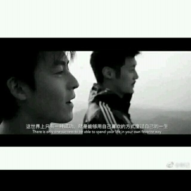 742546 我的森林只有一棵树