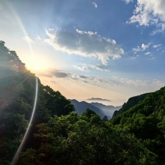 743075 青骢岁月