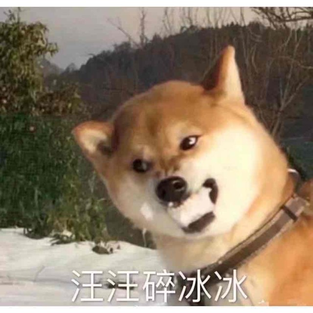 743275 天游（七杀）
