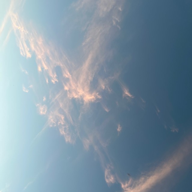 743377 S·丽美