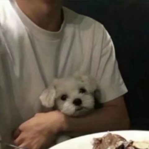 743409 ۣۖิ我 ۣۖิ的 ۣۖิ天 ۣ