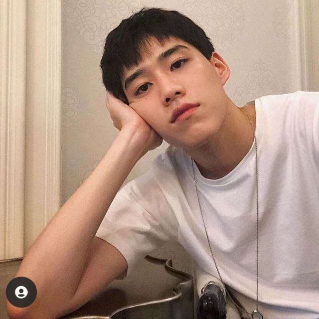 744226 一只蠢咩咩